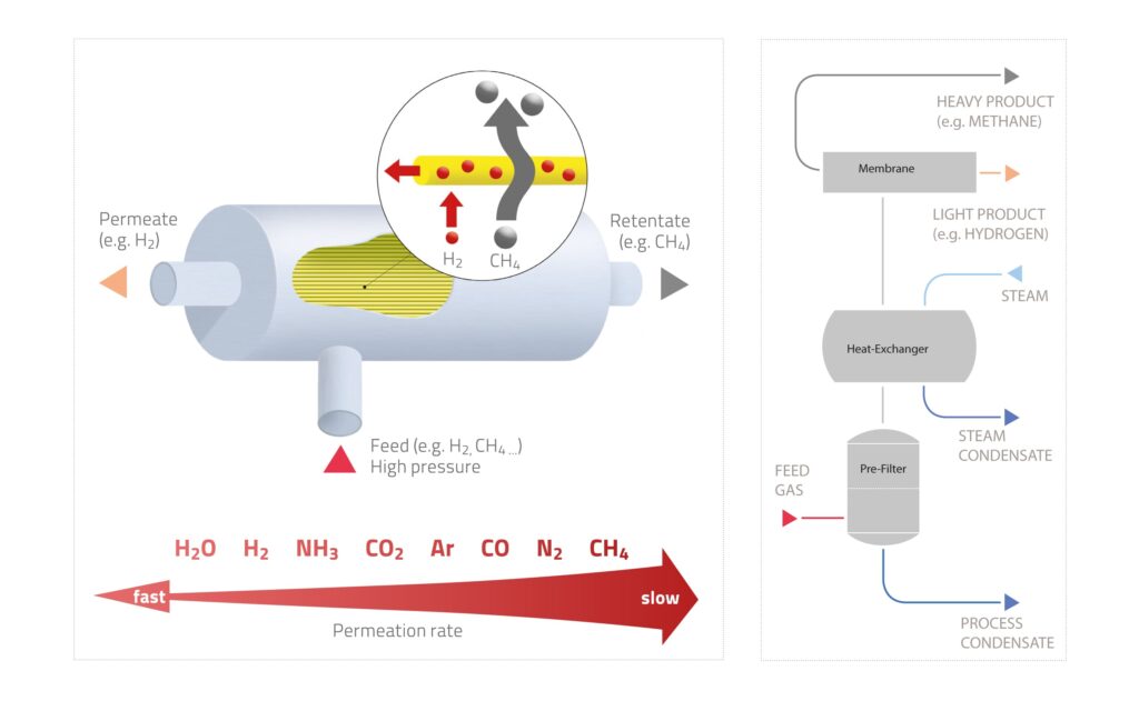 Process gas membrane flowsheet showing a tubular membrane module separating fast-permeating light gases (e.g., H₂) as permeate from slower heavy gases (e.g., CH₄) as retentate, plus a simplified system diagram with pre-filter, heat-exchanger/steam condensation, membrane, and light/heavy product outlets.